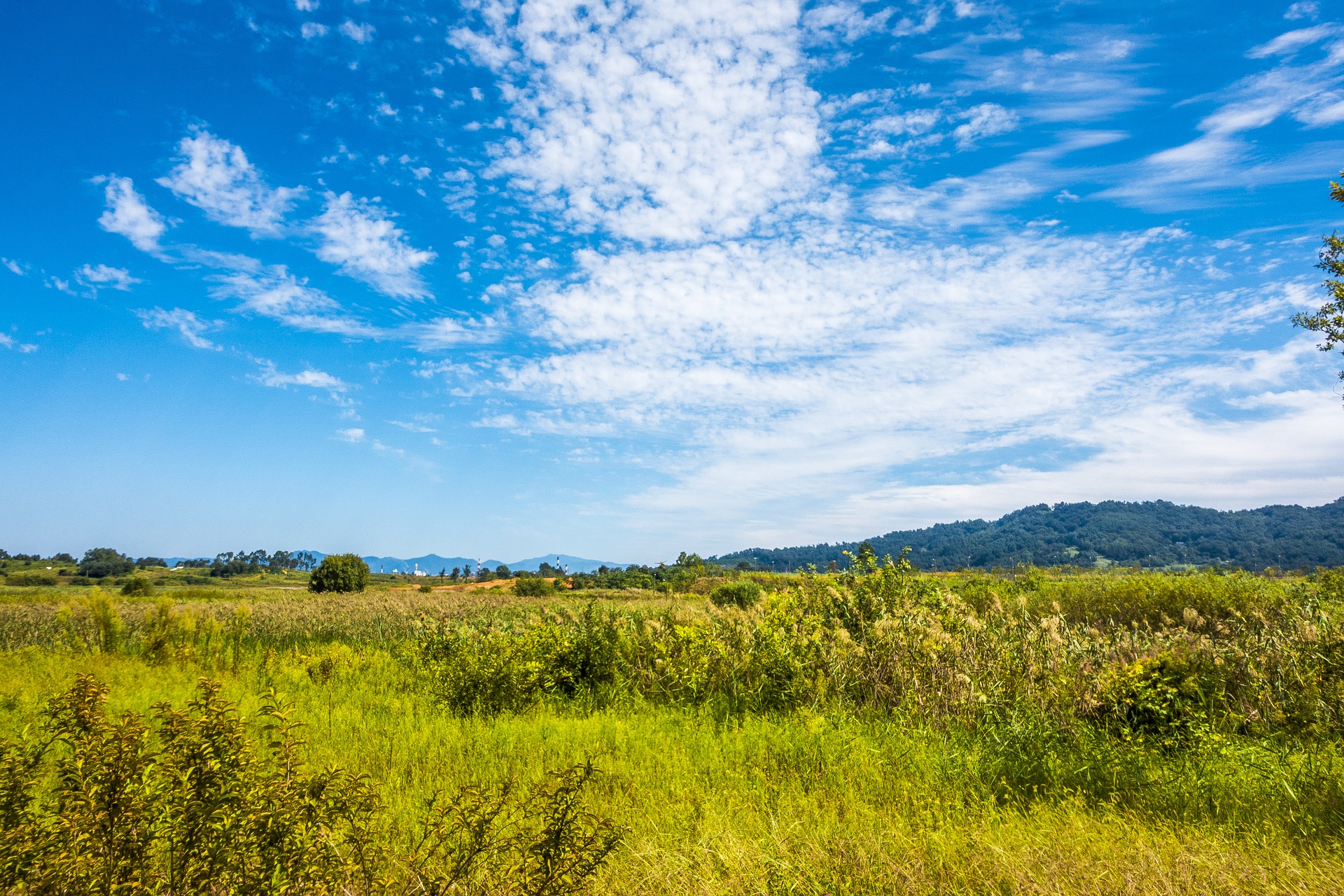 terrain à vendre